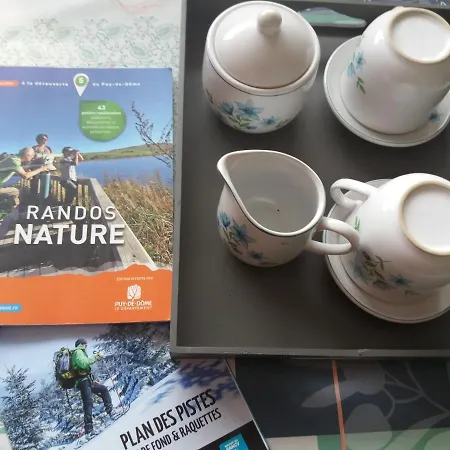 Aux Pieds Des Pistes * Besse-et-Saint-Anastaise