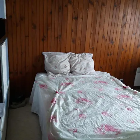 Apartamento Aux Pieds Des Pistes Besse-et-Saint-Anastaise