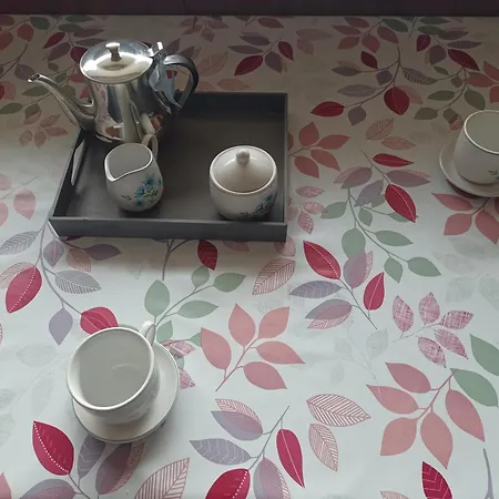 Aux Pieds Des Pistes * Besse-et-Saint-Anastaise