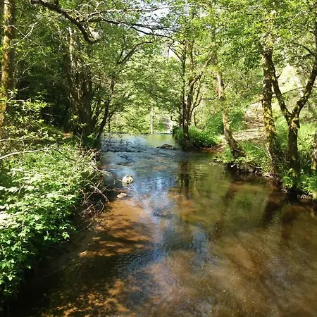 Aux Pieds Des Pistes * Besse-et-Saint-Anastaise