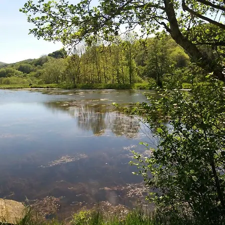 Aux Pieds Des Pistes *