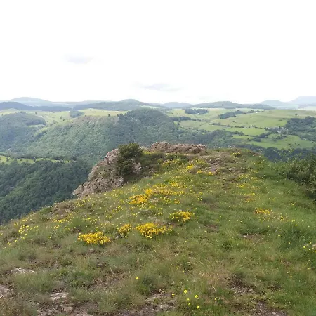 Aux Pieds Des Pistes *