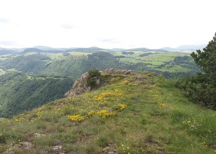 Aux Pieds Des Pistes *